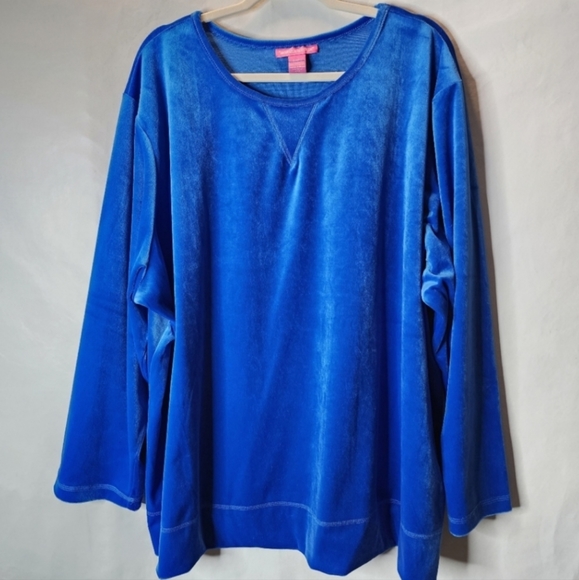 Woman Within Soft Velour Sweatshirt Style Long Sleeve Blue Top Plus Size 3X - Picture 1 of 9